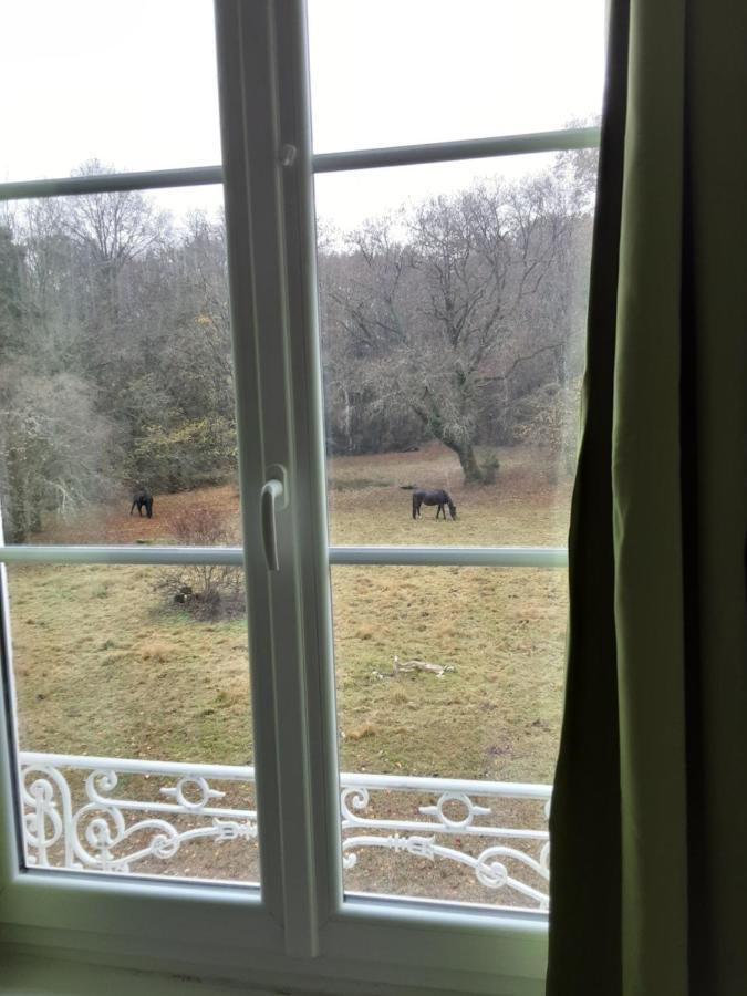 Chateau De La Touche Proche Poitiers Hotel Savigny-Lévescault Екстериор снимка