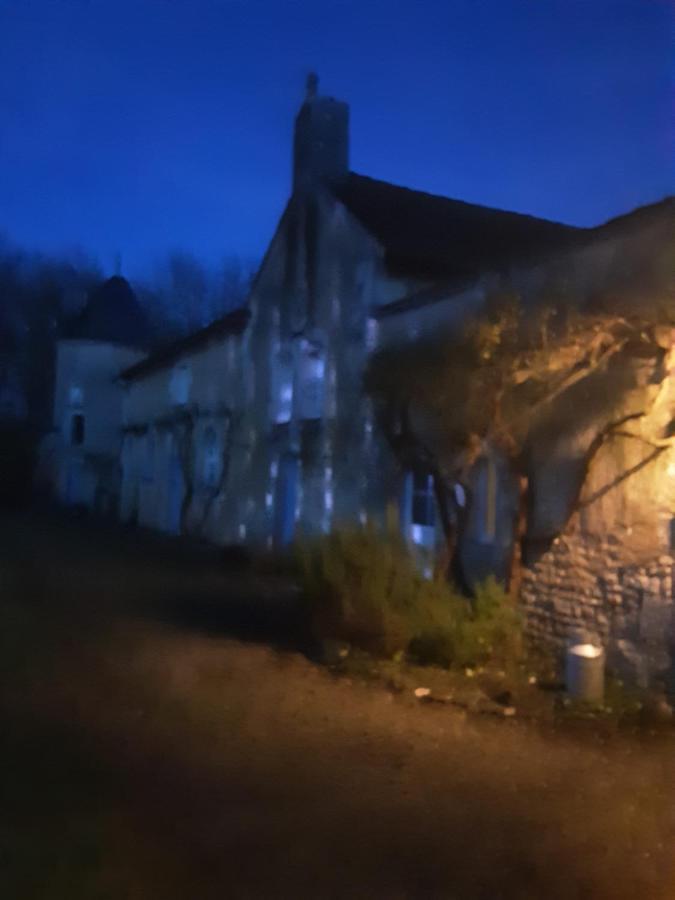 Chateau De La Touche Proche Poitiers Hotel Savigny-Lévescault Екстериор снимка